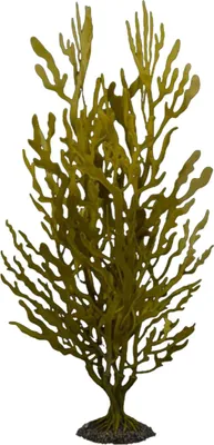 Produktbild von Aqua Della Plastikpflanze Kelpstrauch grün, Größe: S
