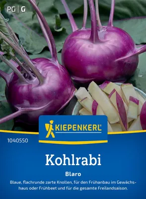 Produktbild von Kiepenkerl Kohlrabisamen Blaro Brassica oleracea gongylodes 90 Pflanzen