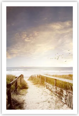 Produktbild von Poster - Poster ohne Rahmen - Meer Weg Strand - 61x91,5 cm - Wand Bild - Wanddeko - Wandbilder - Kunstposter - Wandposter - Bilder - Kunstdruck - Wanddekoration - Wandbild - P2XPA61x91-5190
