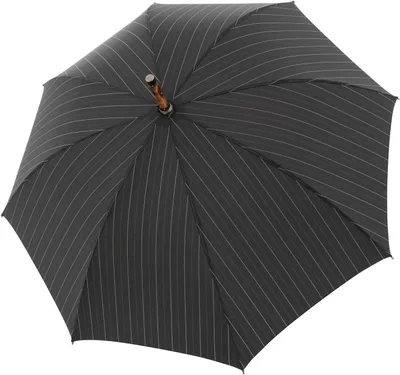 Image de doppler Manufaktur parapluie canne parapluie Hasel Orion Stripe noir