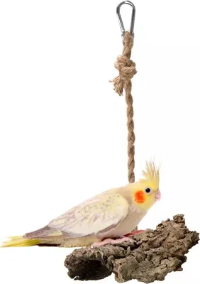 Immagine prodotto di Altalena naturale | Cerotto in corteccia di quercia di sughero | Sughero su corda per pappagalli di piccola e media taglia