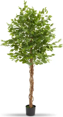 Produktbild von tectake® Künstlicher Ficusbaum Fida verschiedene Größen stabiler Kunststoff-Blumentopf