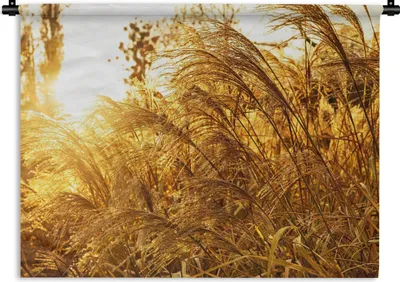 Produktbild von MuchoWow® Wandteppich Wandbehang Pampasgras - Sonne - Gras 120x90 cm Tapisserie Dekoration Wandtuch - Wohnen - Aufhänger für die Wand