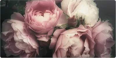 Produktbild von Strauß Rosenblüten– Schreibtischunterlage – Schreibtisch Tischunterlage – 120x60 cm – Unterlage Groß Schreibtischmatte