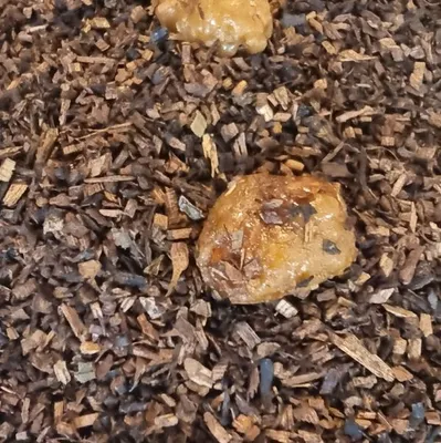 Immagine prodotto di Mandorle tostate Tè Honeybush Naturideen® 100g