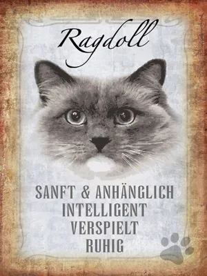 Produktbild von vianmo Holzschild 40x30 cm Ragdoll Katze sanft