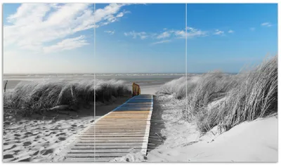 Produktbild von Wallario Herdabdeckplatte aus Glas, Größe 90 x 52 cm 3-teilig, Motiv Auf dem Holzweg zum Strand in schwarz-weiß Optik