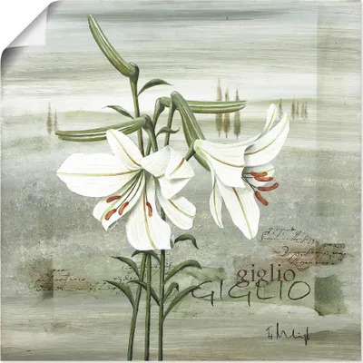 Produktbild von ARTland Poster Lilie Größe: 70x70 cm