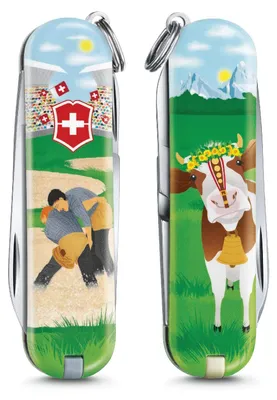 Produktbild von Klassische Schweizer Ringeranzüge
