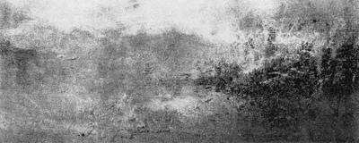 Produktbild von wash+dry Schmutzfangmatte Aura - 80 x 200 cm