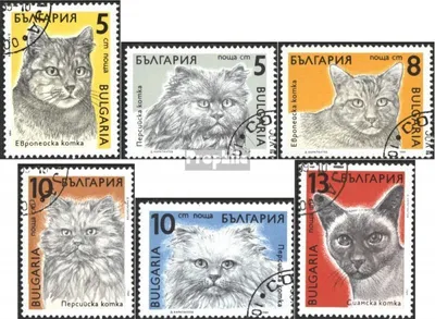 Produktbild von Briefmarken Bulgarien 1989 Mi 3808-3813 (kompl.Ausg.) gestempelt Katzen