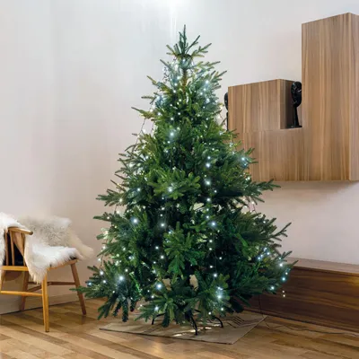 Imagen del producto de Guirnalda de luces LED para árbol de Navidad, 1,9 metros, 120 LEDs, luz blanca fría, IP44