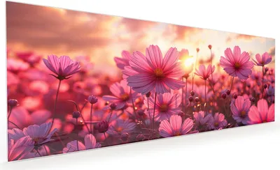 Produktbild von Küchenrückwand Spritzschutz Glas mit Motiv Blumenfeld Sonnenuntergang 40 x 40 cm