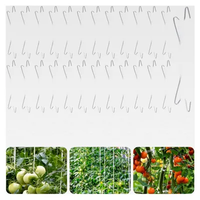 Produktbild von Tomatenhaken mit Schnur, 25 Stück