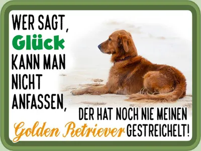 Produktbild von vianmo Holzschild 30x40 cm Glück Golden Retriever Hund