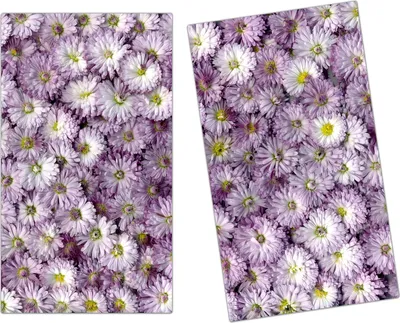 Produktbild von Spritzschutz Herdabdeckplatte Schneidebrett aus Glas Magentameer 2-Teilig (60x52cm)