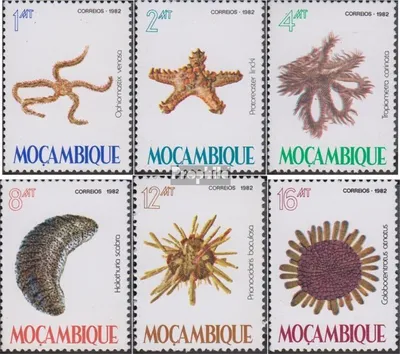 Produktbild von Briefmarken Mosambik 1982 Mi 913-918 (kompl.Ausg.) postfrisch Stachelhäuter