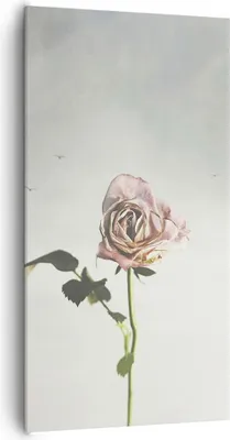 Produktbild von Bild auf Leinwand - Leinwandbild - Einteilig - Rose Vögel Himmel - 65x120cm - Wand Bild - Wanddeko - Wandbilder - Leinwanddruck - Bilder - Wanddekoration - Leinwand bilder - Wandbild - PA65x120-4509