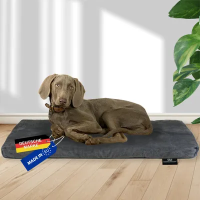 Produktbild von Rohrschneider RS 22353 Tierkissen Plüsch – Liegekissen GR.3 Grau