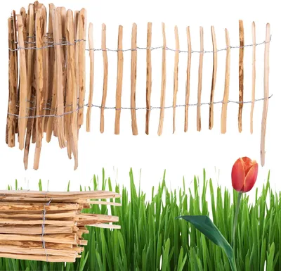 A wooden fence and a tulip in grass.