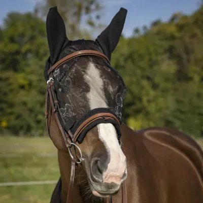Immagine prodotto di Maschera per mosche da allenamento Equithème Protect - nero