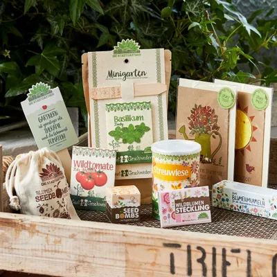 Image de Coffret découverte de graines : coffret complet comprenant des graines un