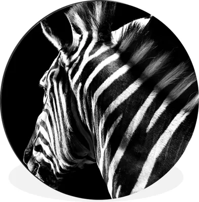 Produktbild von MuchoWow® Aluminium Wandkreis Zebra - Tier - Weiß - Schwarz und Weiß Ø 60 cm Wanddeko Modern Wohnzimmer - Wand Kreis - Wandbild - Schlafzimmer - Aluminium Bild - Kinderzimmer - Wohnzimmer Dekoration - Wandschmuck