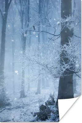 Produktbild von MuchoWow® Poster Wald - Winter - Schnee 120x180 cm - Kunstposter