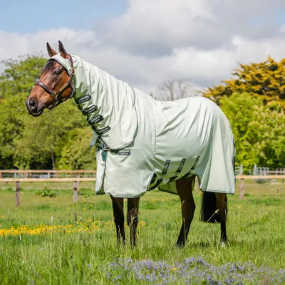 Image de Horseware Ireland Ekzemerdecke Rambo Hoody Vert/Sage, Beige & Vert 160 (7'0)