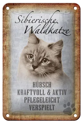 Produktbild von Blechschild Spruch 12x18cm sibierische Waldkatze Katze Wandschild
