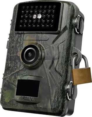 Image de LogiLink WC0065 LogiLink Caméra pour la faune avec vision nocturne, déclenchement par chaleur/déplacement