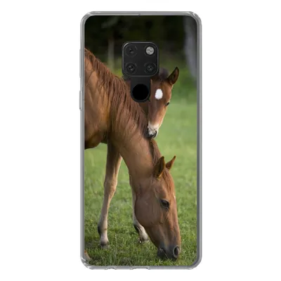 Produktbild von MuchoWow® Handyhülle Schutzhülle Hülle für Huawei P40 Lite Pferde - Gras - Porträt Silikon Softcase Handy Hülle - Handy