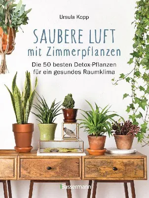 Produktbild von Saubere Luft mit Zimmerpflanzen