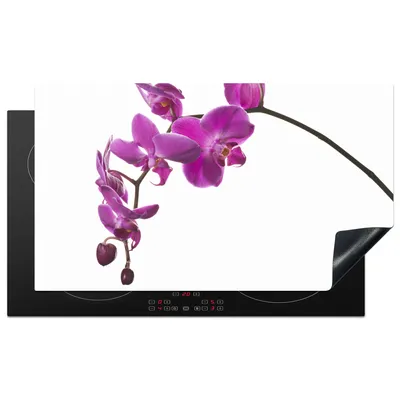 Produktbild von KitchenYeah© Herdabdeckplatte Orchidee vor weißem Hintergrund , 90x52cm, Küche Deko, Glaskeramikkochfeld Herdabdeckung, Abdeckplatte fùr Kochfeld