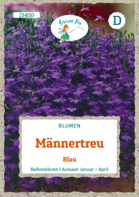 Produktbild von Grüne Fee - Männertreu Blau Samen - 13400
