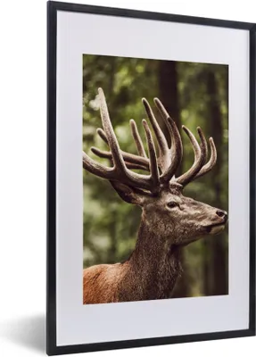 Produktbild von MuchoWow® Gerahmtes Poster Hirsch - Natur - Geweih - Wald - Tiere 40x60 cm - Poster mit Schwarzem Bilderrahmen Wandposter Rahmen Foto Bilder - Poster in Rahmen
