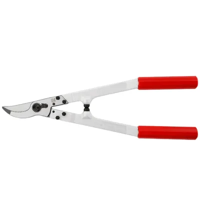 Immagine prodotto di FELCO 20 Forbici per potatura a due mani - Lunghezza 43 cm