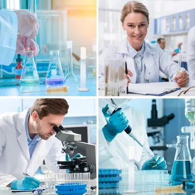 Produktbild von 10 Glasbürsten mit langlebigen Nylonborsten zur gründlichen Reinigung von Reagenzgläsern und Laborgefäßen