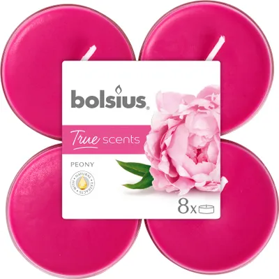 Produktbild von Bolsius Duftteelichte Maxi, Pfingstrose, Höhe 1,17 cm, Ø 4,5 cm, 6er Pack