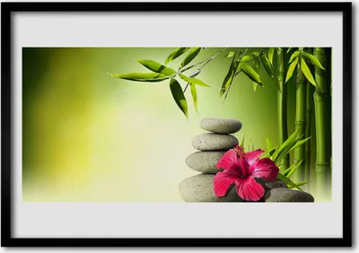 Produktbild von Bild 100x70 MDF-Rahmen Wandkunst Blume Bambus Zen Steine