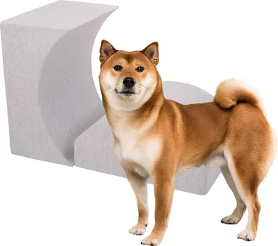 Immagine prodotto di Petsona Elementi di gioco per animali domestici, grigio chiaro, rampa / testa
