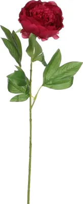 Produktbild von Mica künstliche Pfingstrose dunkelrosa 76 cm