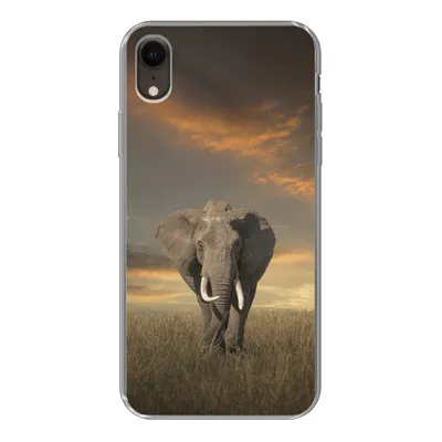 Produktbild von MuchoWow® Handyhülle Schutzhülle Hülle für iPhone XR Elefant - Tiere - Gras - Natur Silikon Softcase Handy Hülle - Schutzdeckel
