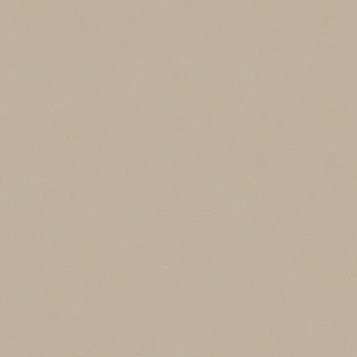 Immagine prodotto di Carta da parati Borastapeter tinta unita beige - 660668 - 53 cm x 10,05 m