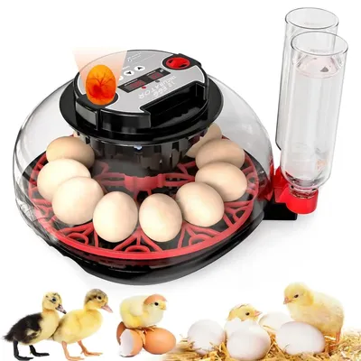 Image de Couveuse - Incubateur automatique - 12 œufs - Régulation intelligente de la température - Éclairage LED - Taux d'éclosion élevé - Pour poulets/canards/oies
