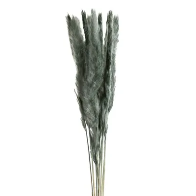 Obrázok produktu pre Prírodný kvet 10 Dĺžka kytice 75 cm Dĺžka trávy 25 cm Mäta