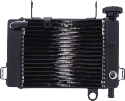 Zdjęcie produktu dla Chłodnica wody JMP 016-0036 do Honda CBR 125