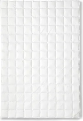 Produktbild von OBB Black Forest Sommerdecke Lara 135x200 cm, Schneegansdaunen-Einziehdecke