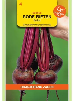 Obrázok produktu pre Oranjeband, odroda repy, vhodná na priamu konzumáciu – 1 balenie osiva