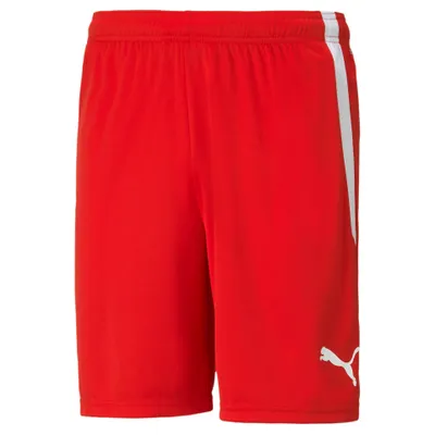 Produktbild von Puma Teamliga Shorts Kinder - Rot
